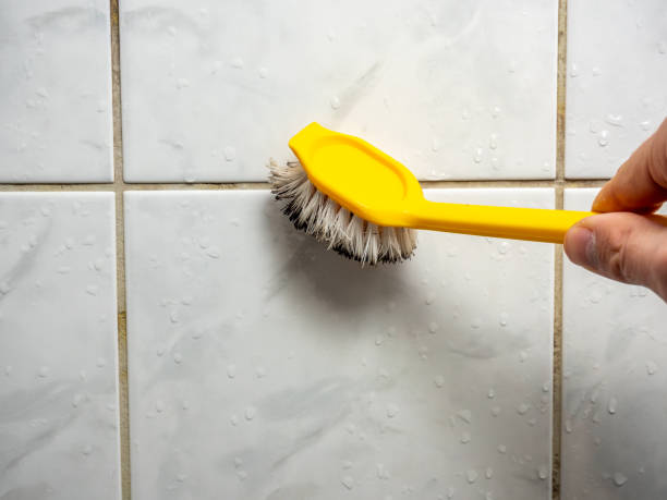 Best Local Mold Removal Service  in New Paleste, IN