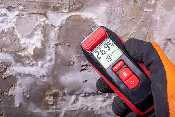 Best Crawl Space Mold Removal  in New Paleste, IN