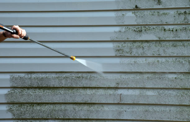 Best Emergency Mold Removal  in New Paleste, IN