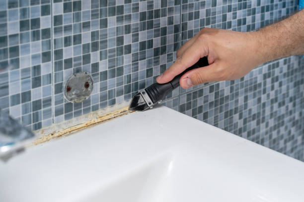 Mold Removal and Inspection in New Palestine, IN